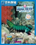 百科探秘·海底世界 15年12月号