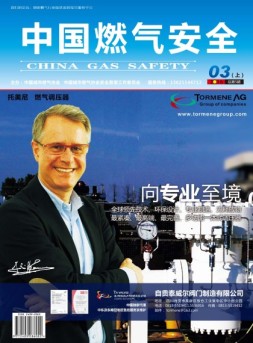 中国燃气安全 16年第3期