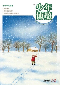 少年博览·小学高年级版 16年1月-2月号合刊