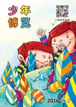 少年博览·小学低年级版 16年1月-2月号合刊