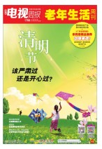 广东电视周报 16年第12期