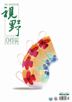 视野 16年第6期