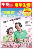 广东电视周报 16年第13期