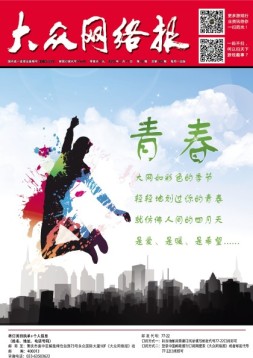 大众网络报 16年第13期