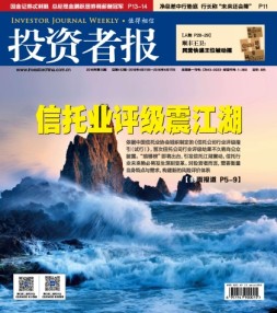 投资者报 16年第13期