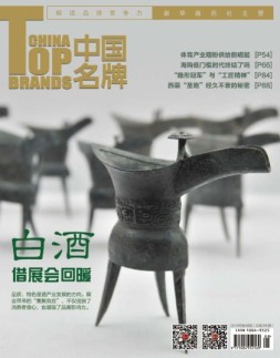 中国名牌 16年第8期