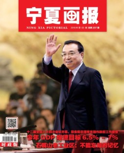 宁夏画报 16年第3期