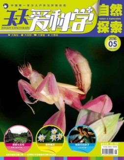 天天爱科学 16年5月号