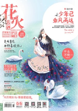 花火 16年4月B