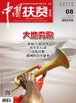 中国扶贫 16年第8期
