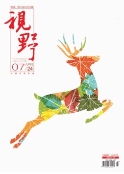 视野 16年第7期
