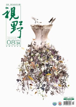 视野 16年第8期