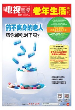 广东电视周报 16年第15期
