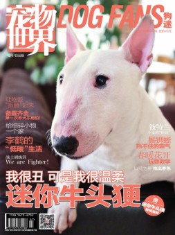 宠物世界·狗迷 16年4月号