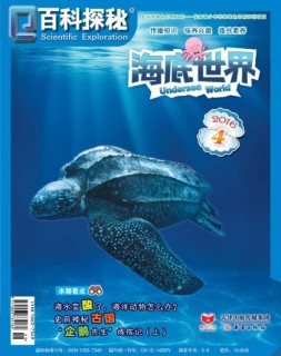 百科探秘·海底世界 16年4月号