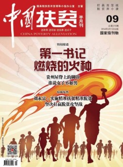 中国扶贫 16年第9期