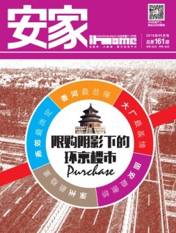 安家 16年5月号