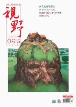 视野 16年第9期