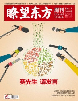 瞭望东方周刊 16年第17期