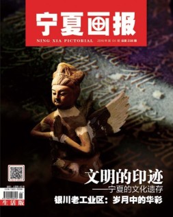 宁夏画报 16年第4期