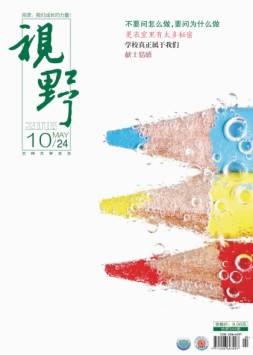 视野 16年第10期
