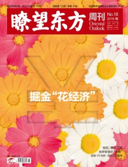 瞭望东方周刊 16年第18期