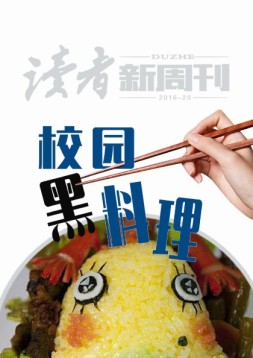 读者新周刊 16年20期