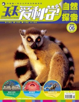 天天爱科学 16年6月号