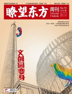瞭望东方周刊 16年第19期