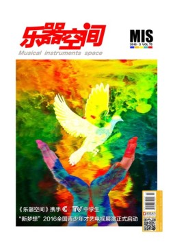乐器空间 16年第75期