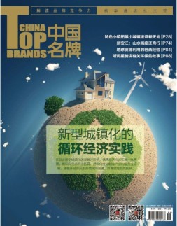 中国名牌 16年第11期