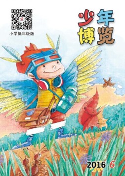 少年博览·小学低年级版 16年6月号