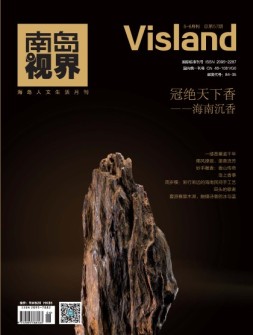 南岛视界 16年5-6月合刊