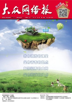 大众网络报 16年第22期