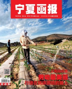 宁夏画报 16年第5期