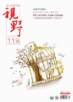 视野 16年第11期