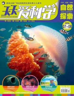 天天爱科学 16年7-8月合刊