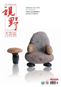 视野 16年第13期