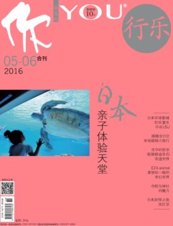 行乐 16年5-6月合刊