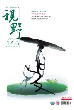 视野 16年第14期