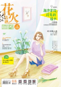 花火 16年7月B