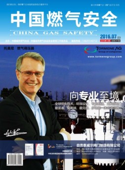 中国燃气安全 16年第7期