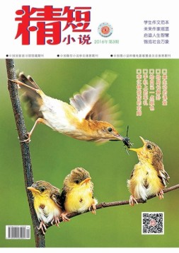 精短小说 16年第3期