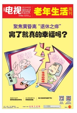 广东电视周报 16年第28期