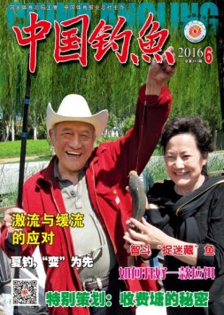 中国钓鱼 16年6月号（精简版）