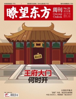 瞭望东方周刊 16年第28期