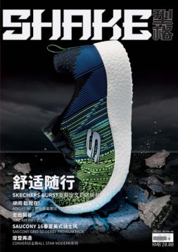 SHAKE型格 16年5月-6月号合刊