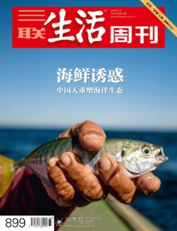 三联生活周刊 16年第33期