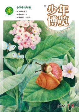 少年博览·小学高年级版 16年7月-8月号合刊