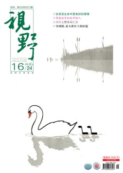 视野 16年第16期